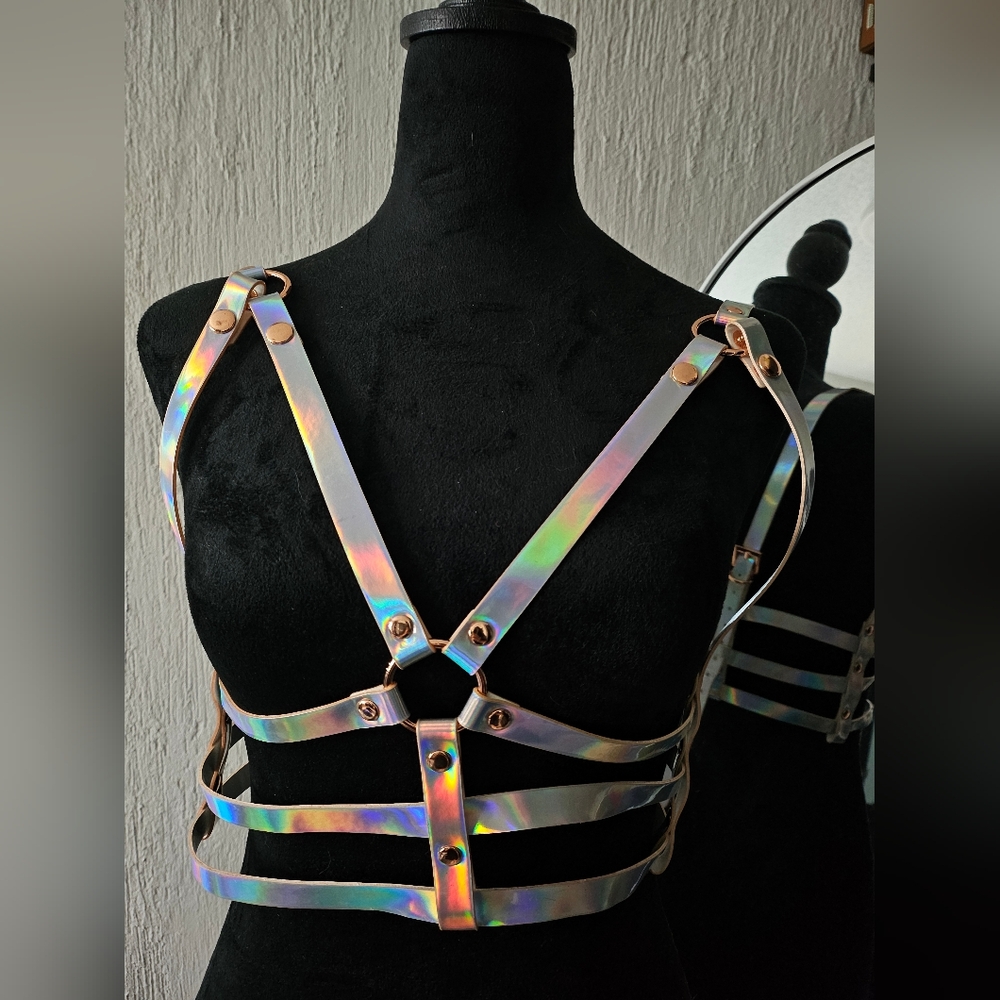 Holographic Silver Harness